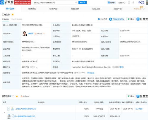 巨人网络成立新公司，深化布局互联网游戏与信息服务业务